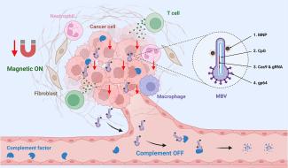 Spatially Controlled Genome Editing